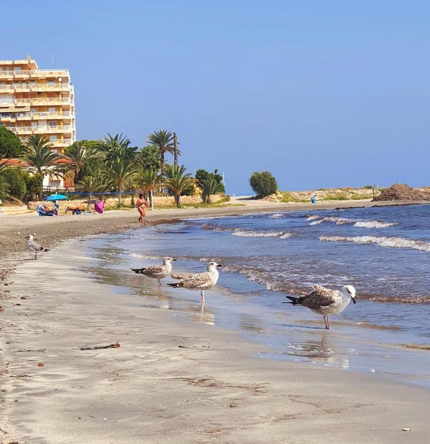 Sunflower Residence First Line By The Sea Santa Pola Zewnętrze zdjęcie